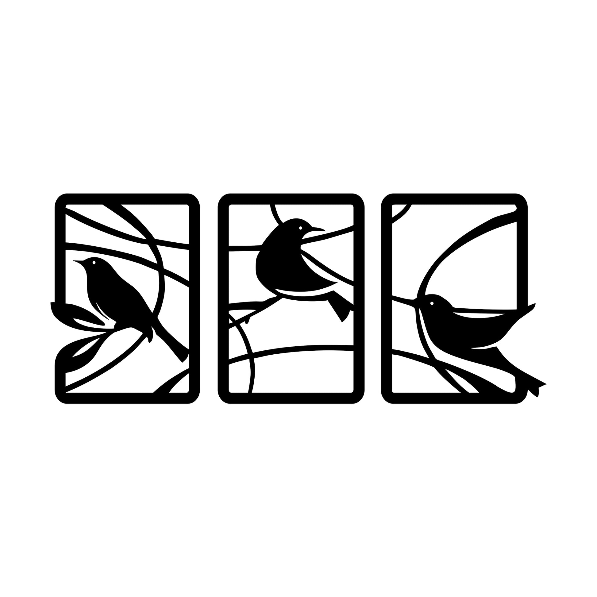 Birds Of Paradise 