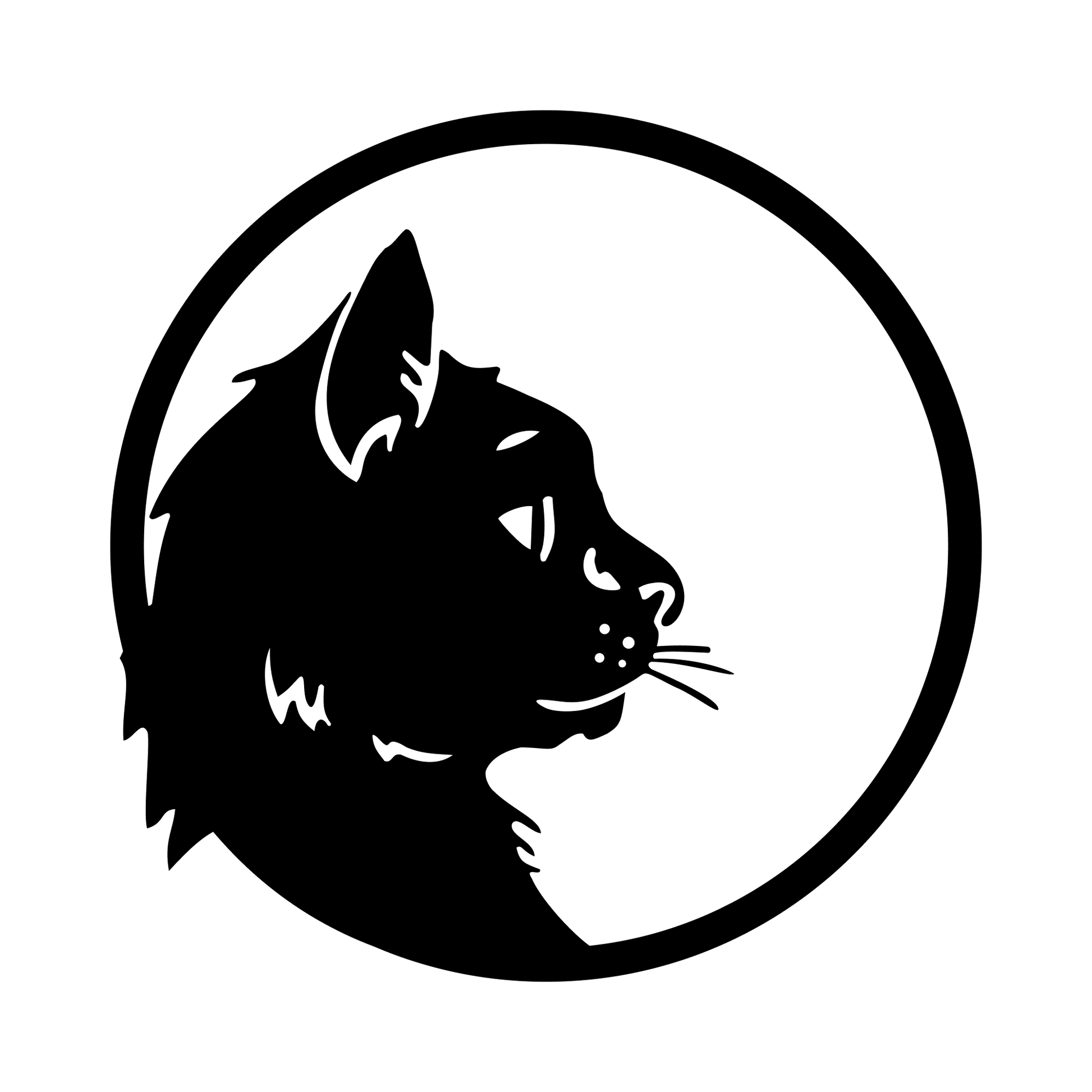 Charming Cat Portrait