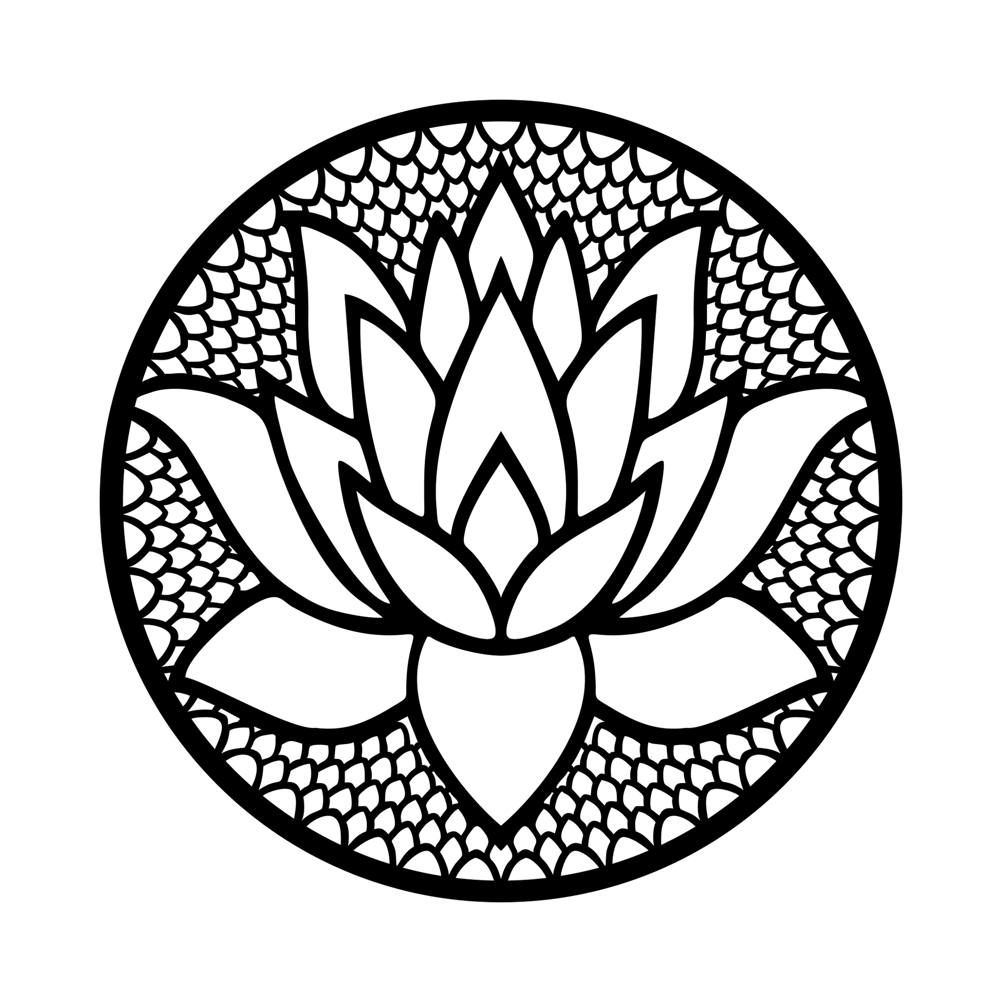 Graceful Lotus Flower
