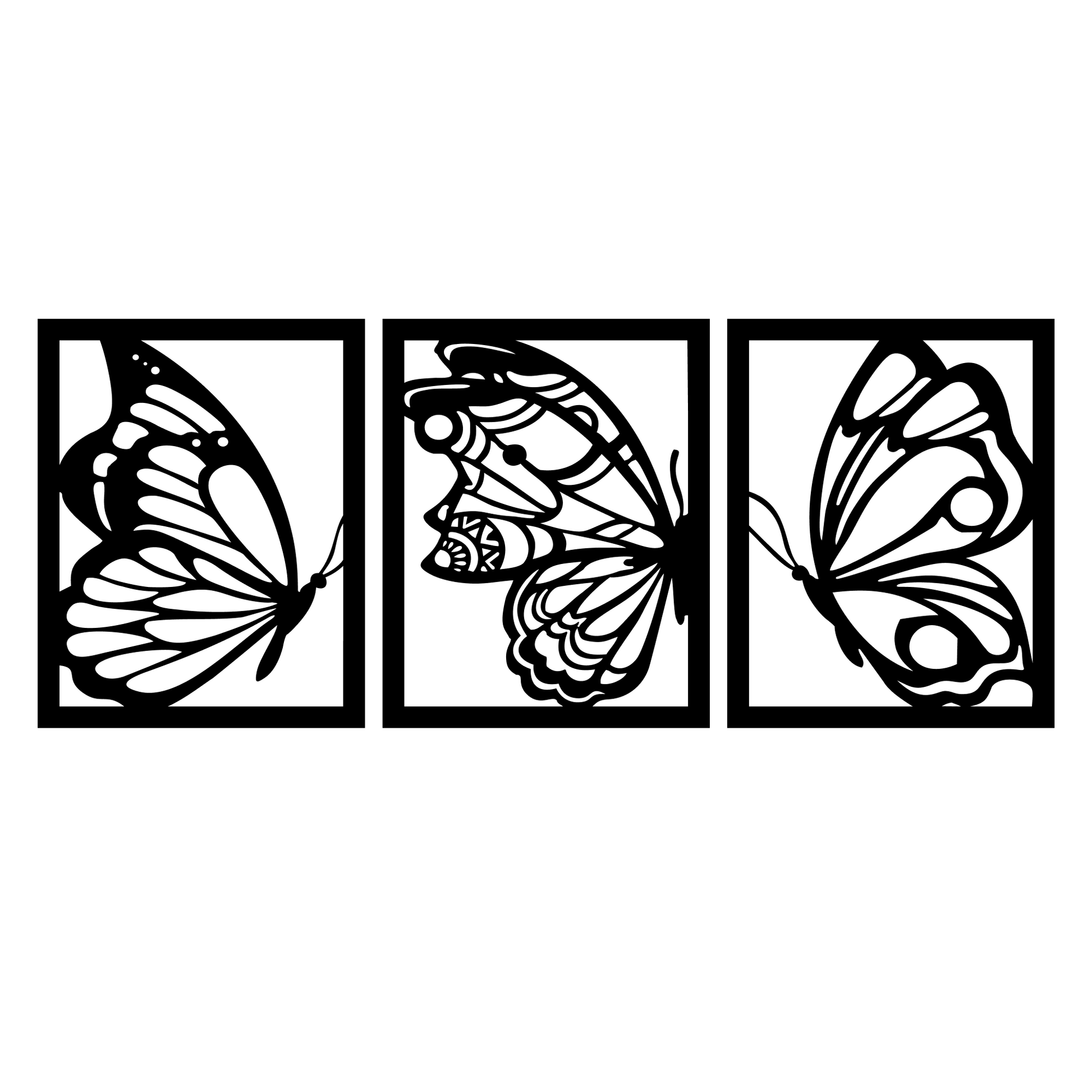 Nature's Butterfly Beauty 